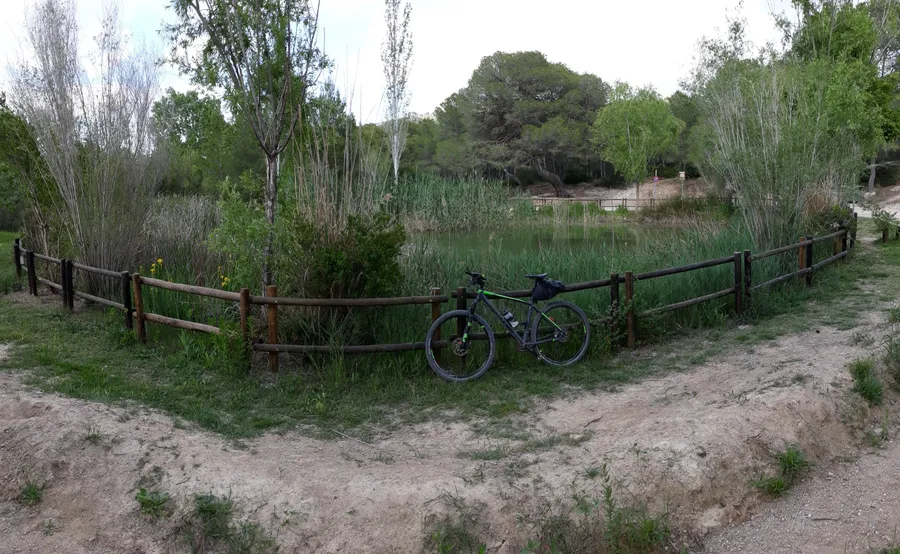 La Bassa Barreta, balsa del paraje natural de Les Rodanes