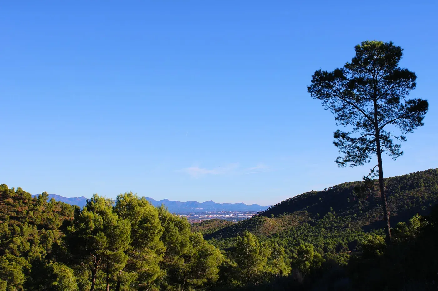 La sierra desde casa, vista panorámica del monte