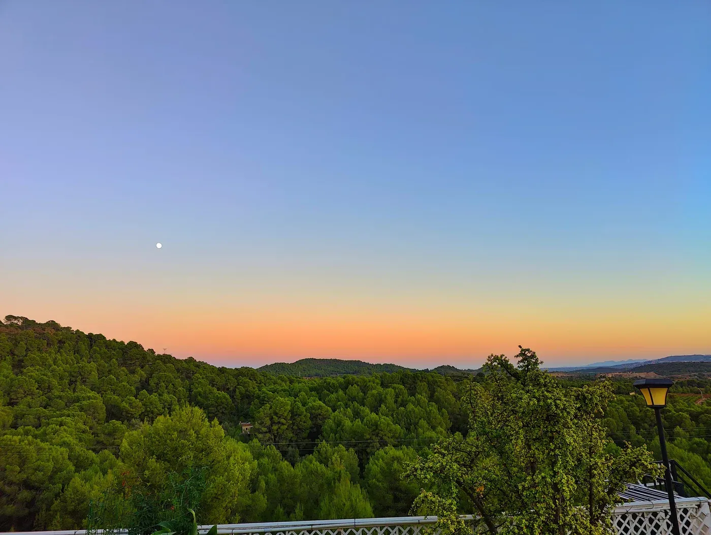 Atardecer sobre el bosque de pinada mediterránea